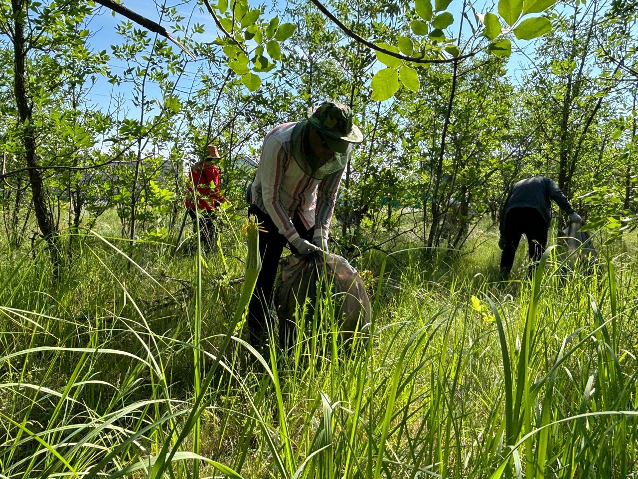 16 мың тонна қоқыс жиналды
