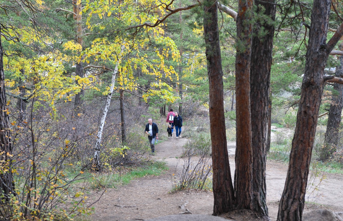 Орман көбейсе, табиғат көркейеді