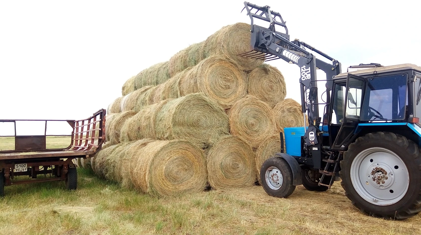 Жемшөптің жай-жапсары