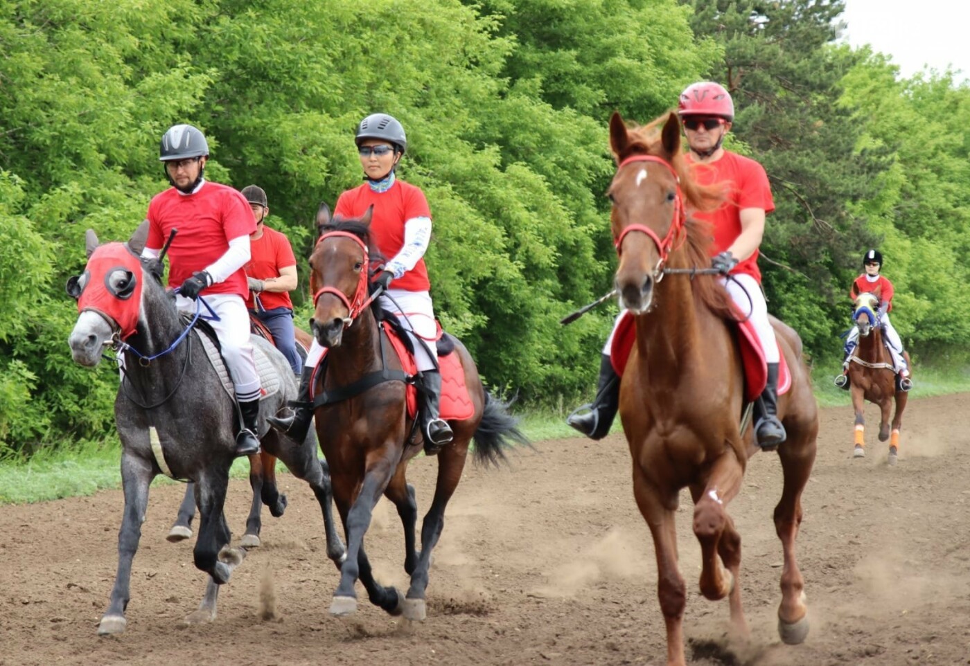 Мінсең ат, шапсаң жүйрік, қайран дүлдүл...