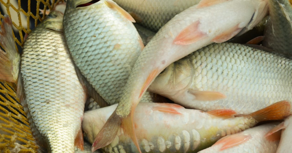 Күйеуі көрмей тұрғанда біреудің әйеліне арналған порно