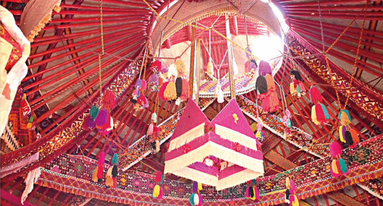 Жыныс және түйеқұс қауырсындары