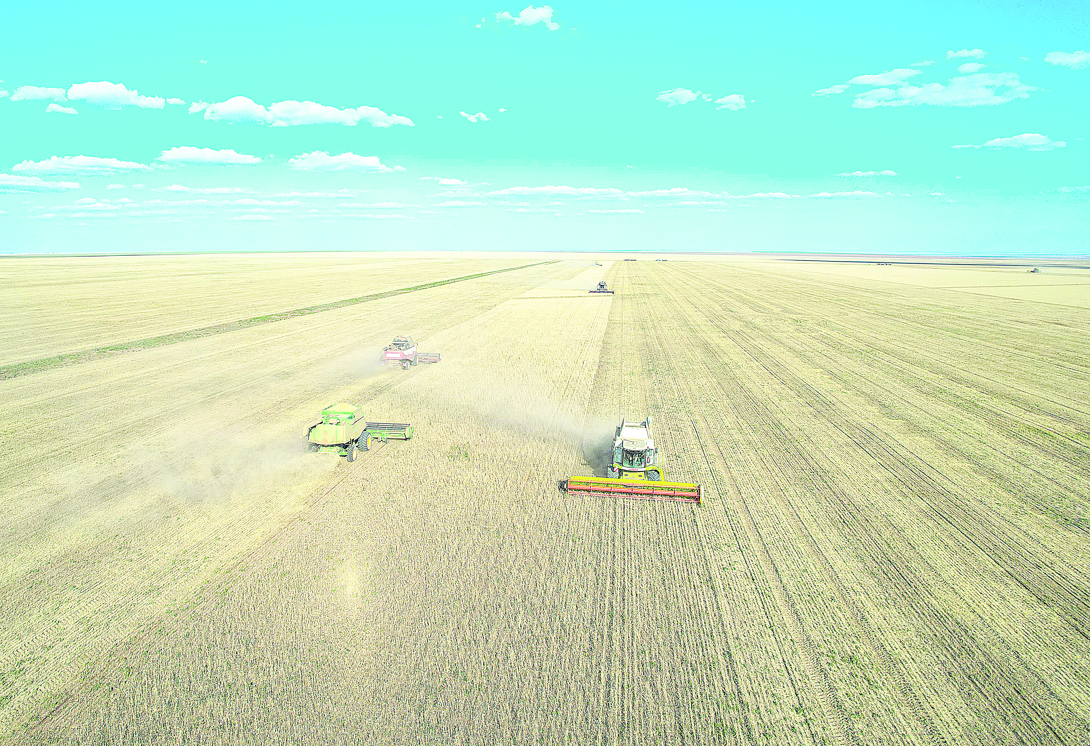 Егін ерте пісті