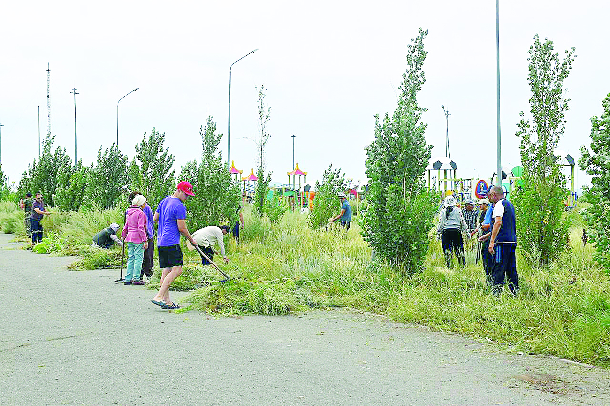 Жастардың белсенді қимылы