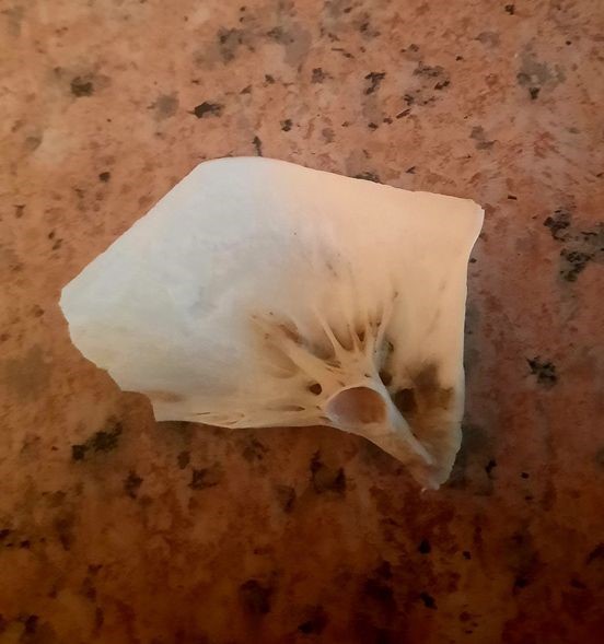 Жоқтан бар жасау