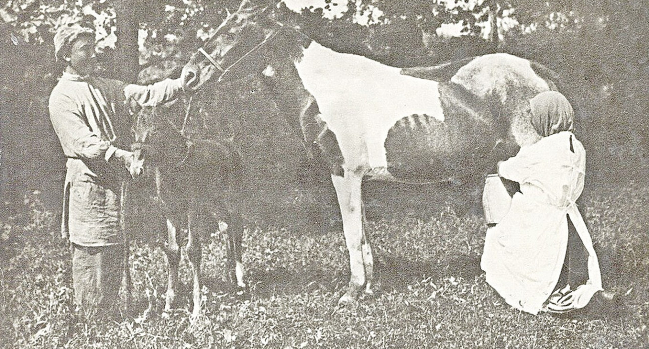 Екатерина Скулкина жалаңаш порно Таза өзбек секс