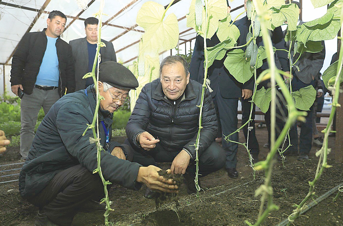 Әр ауыл ғана емес, әр аула өз иесіне табыс әкелуге тиіс