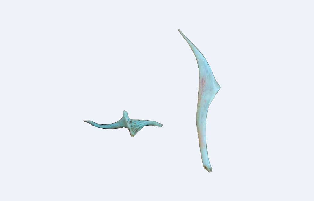 «Еламан» кетті дегенше…