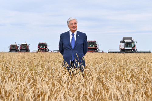 Президент Қостанай өңірінің ауыл шаруашылығы әлеуетімен танысты