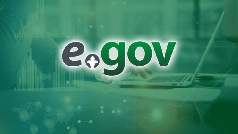 Декларацияны «eGov» арқылы тапсыруға болады