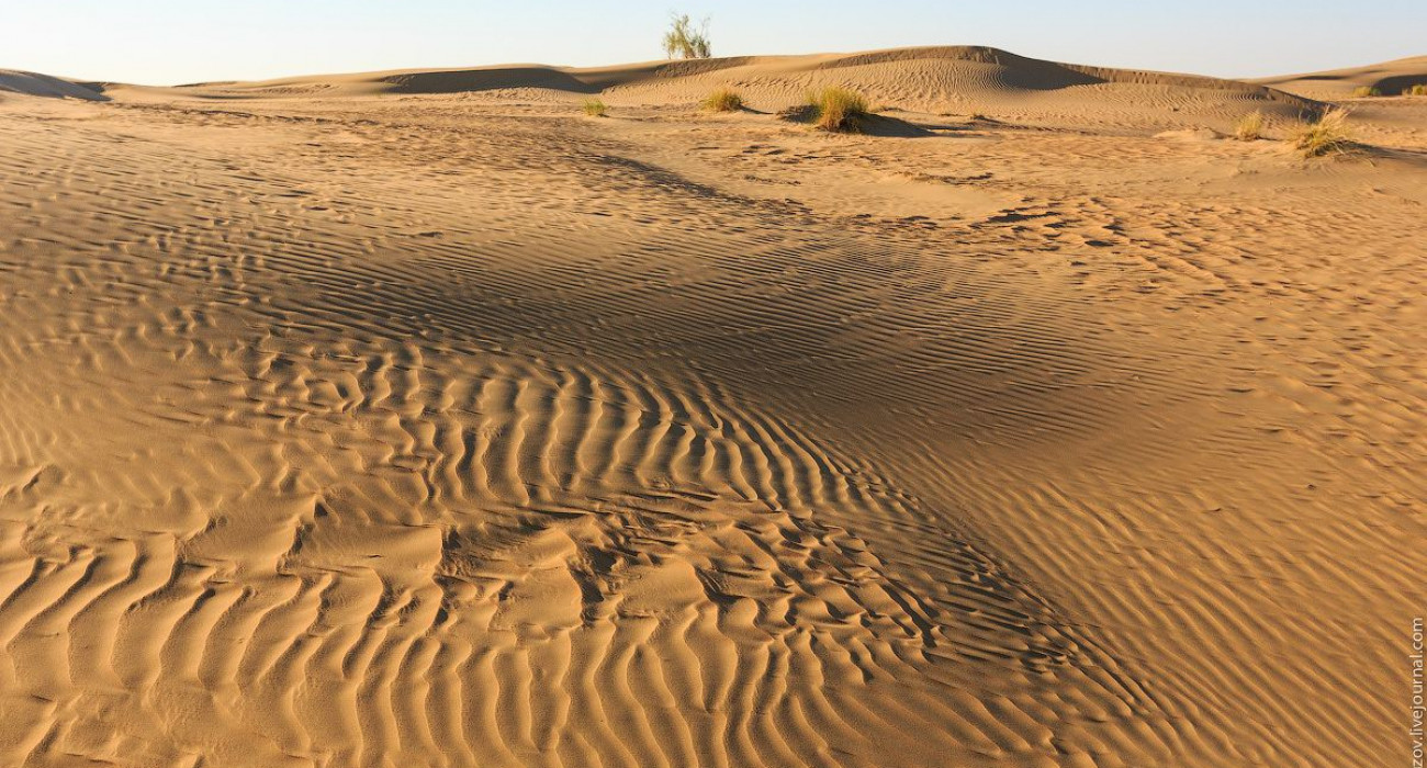 Жетілген әйелдердің кең жамбастары бар порно