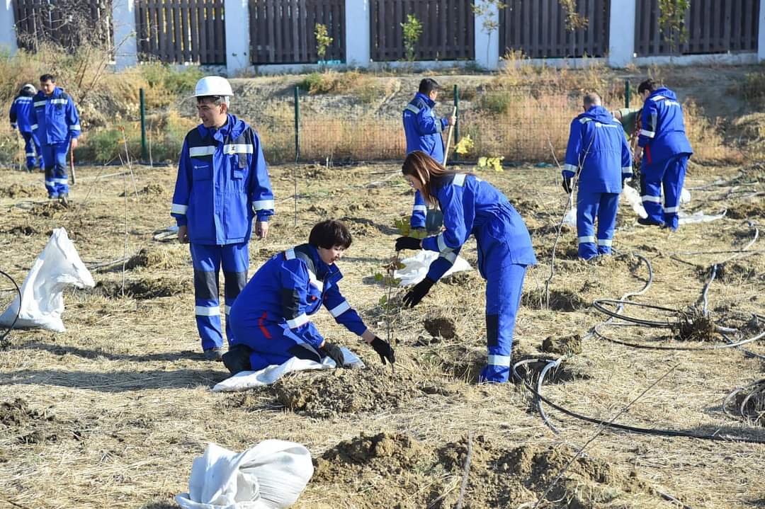 Тазалыққа үндеген акция