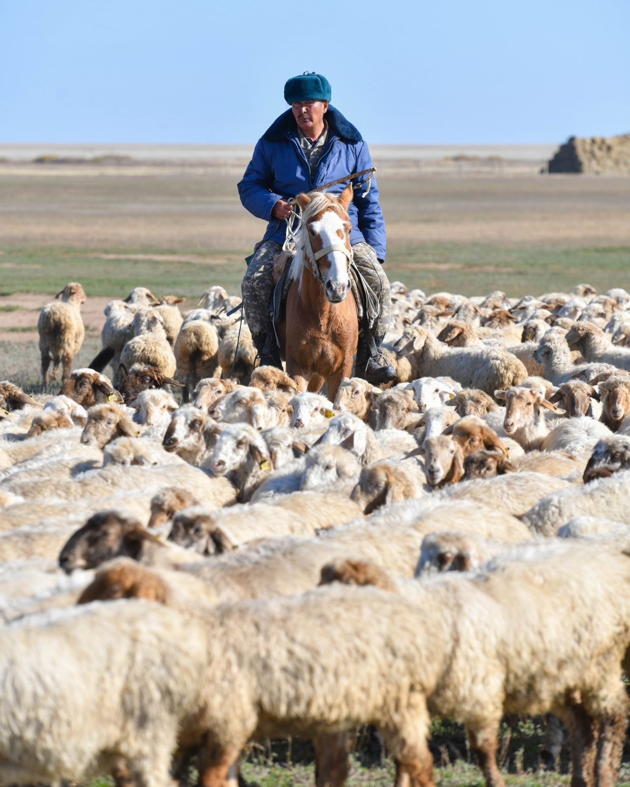 Анальды порно және сынып