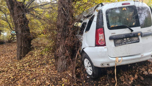 Алматы облысында көлік ағашқа соғылып, бір адам көз жұмды