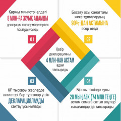 Жеке тұлғаға кірісі мен мүлкін декларациялау міндет емес