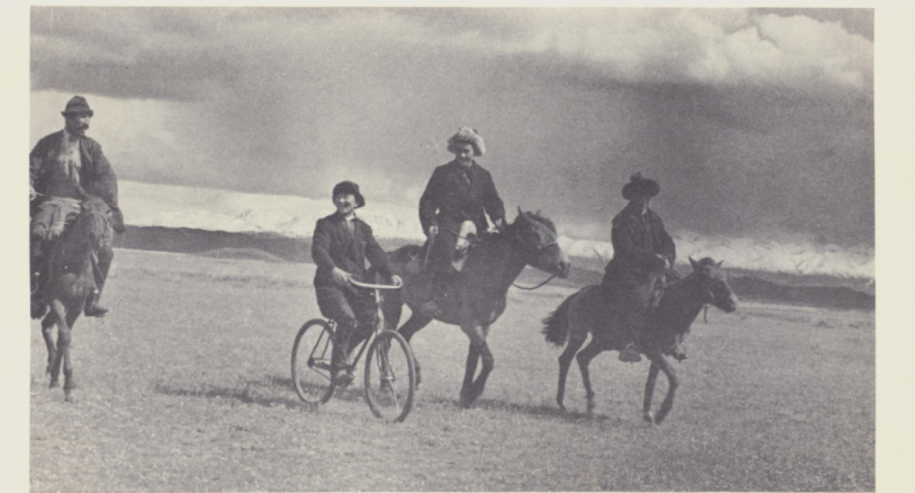 Порно трекерді ашыңыз Волосатые жопа порно видео