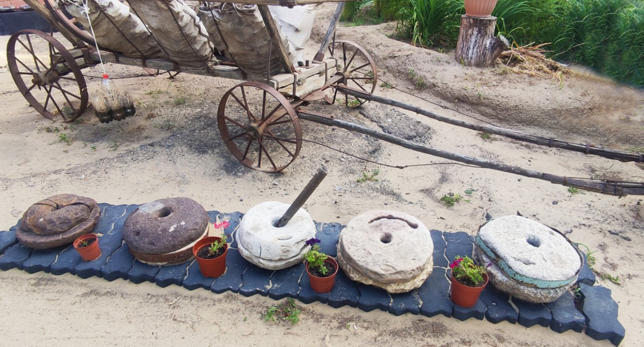 Порно фильмдердегі фитнес сәбилері