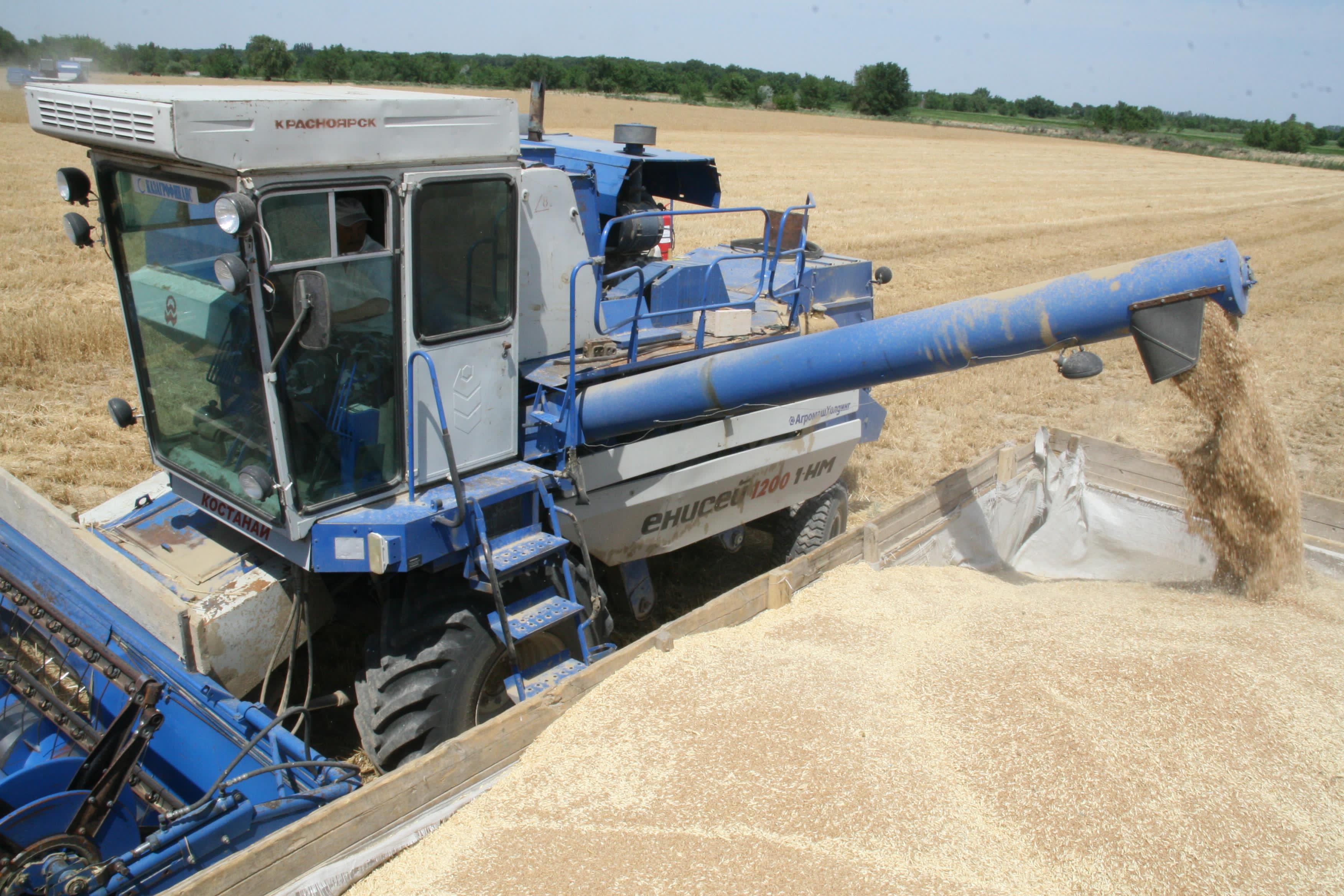 Қойманы толтыратын көрсеткіш