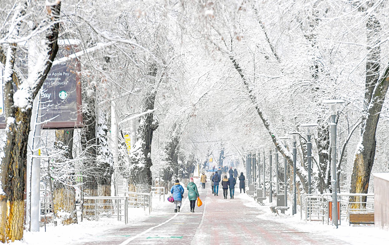 Әлеуметтік саланың әлеуеті