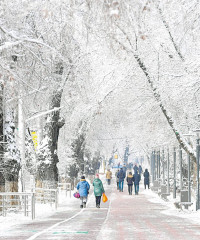 Әлеуметтік саланың әлеуеті