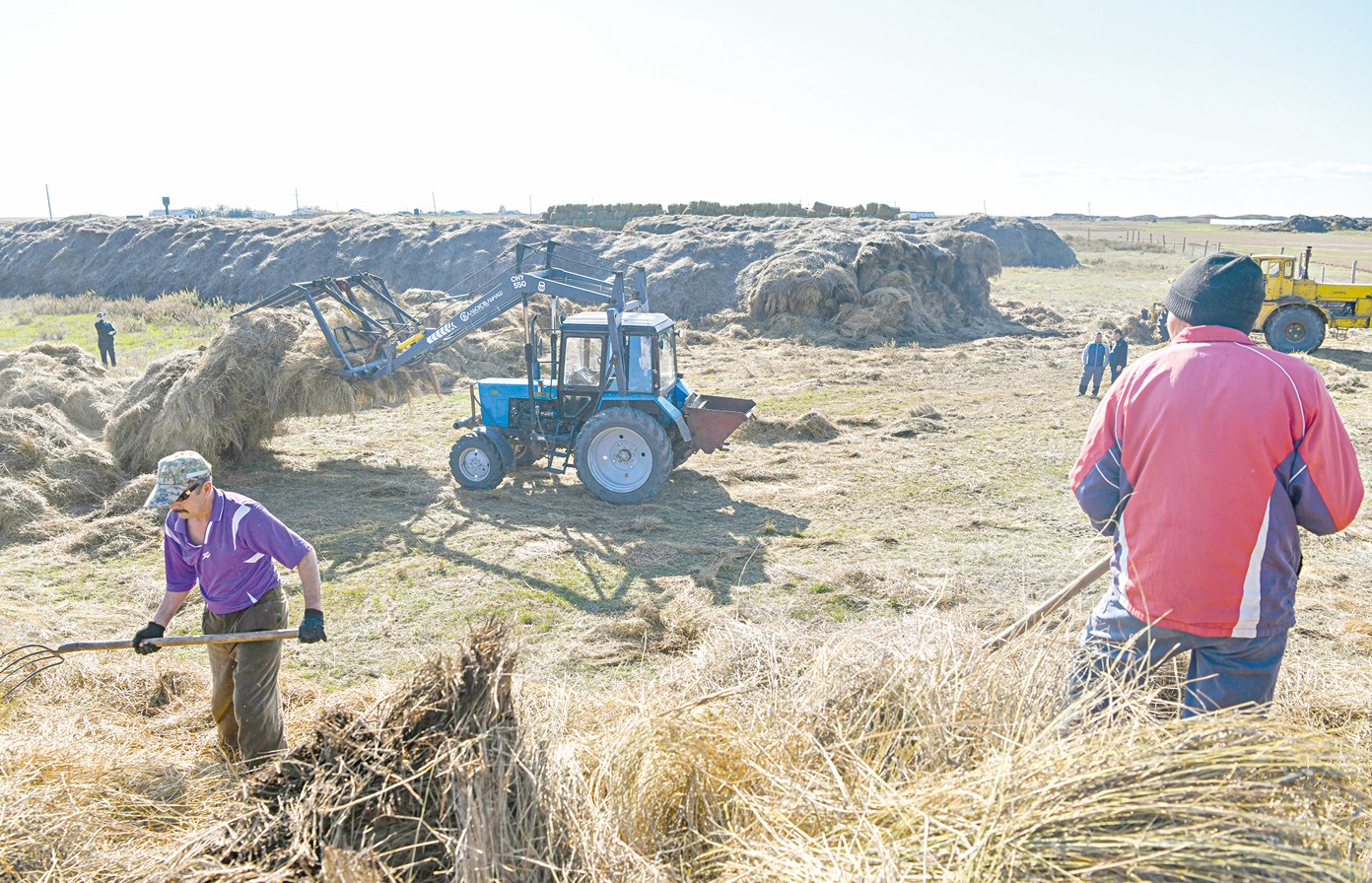 Миллионнан астам мал қыстауға кірді