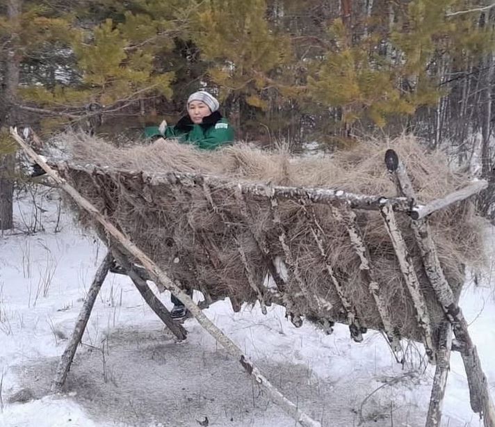 Жабайы жануарларға жағдай жасалды