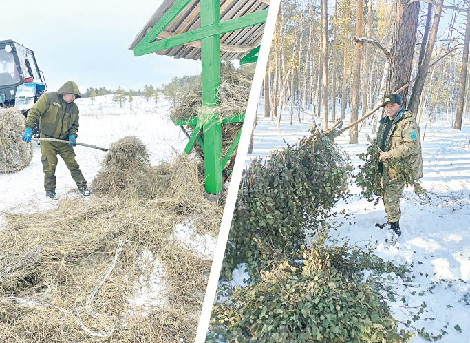 Аң-құсқа абай болған жөн