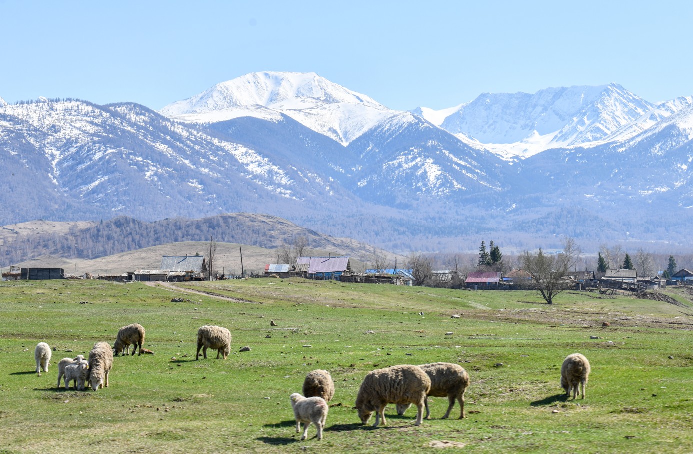 Мұнда бірнеше түстер бар