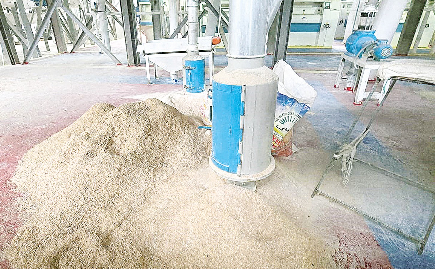 Астық терминалы қайта іске қосылды