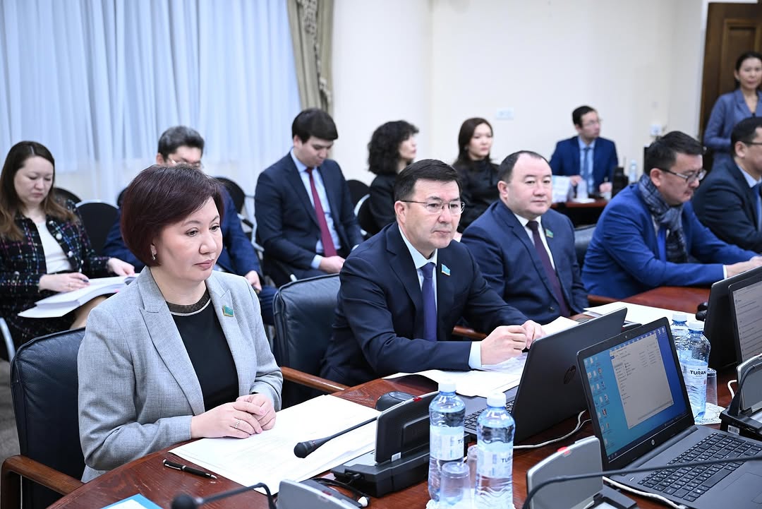 Тәлімгерлікті дамыту туралы заңды қарады