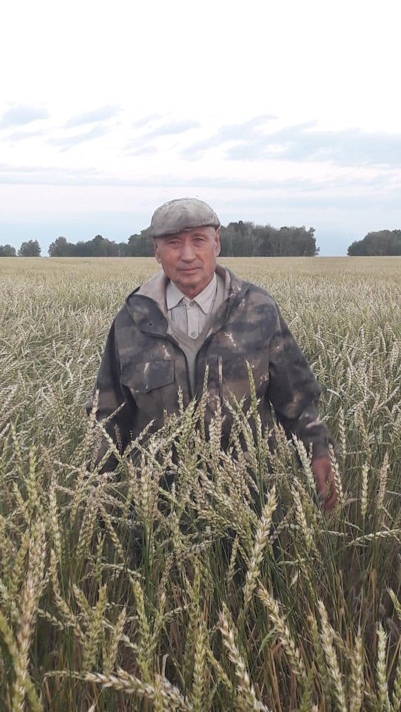 Ақық дән аялаған әулет