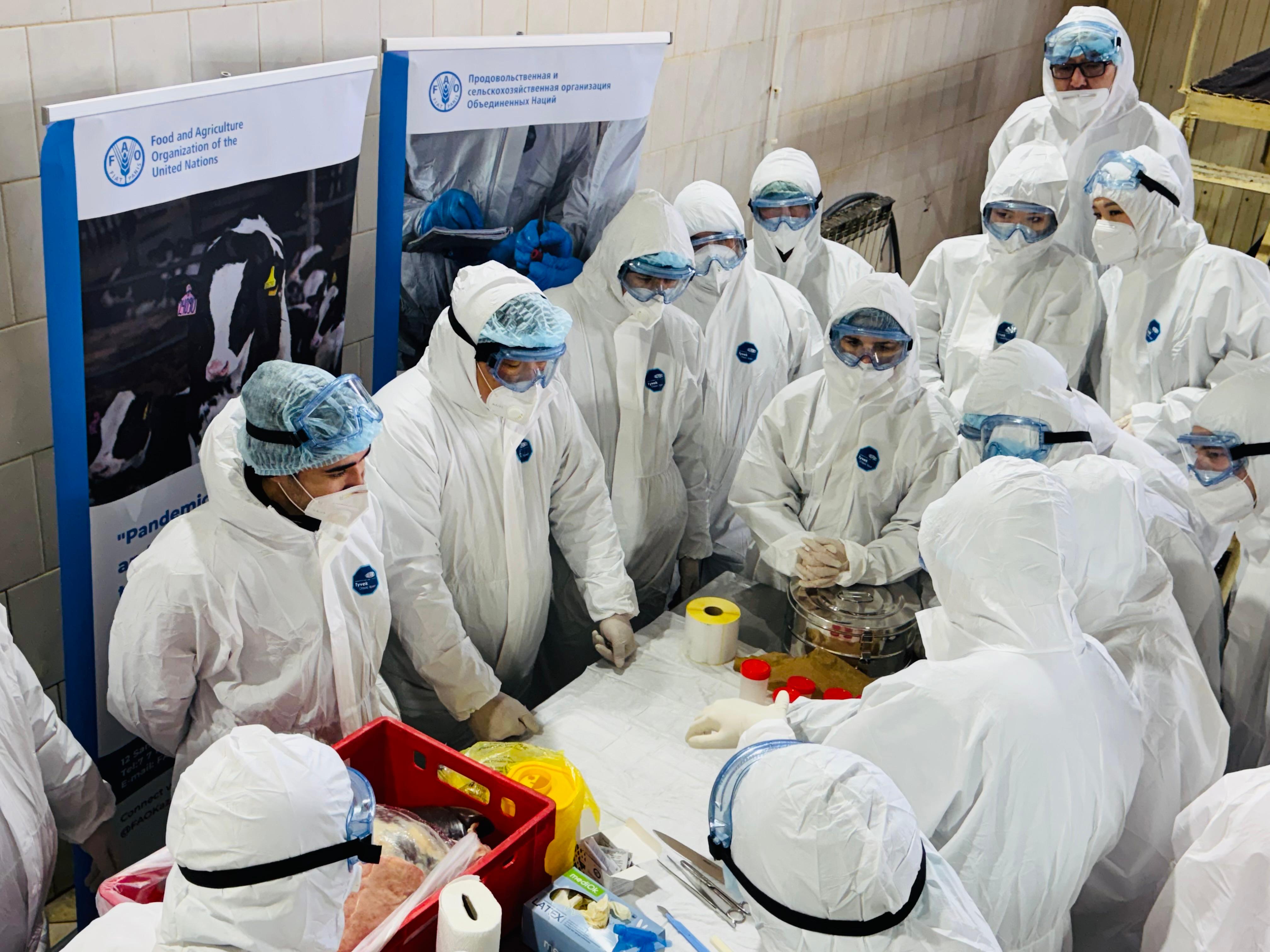 Мал шаруашылығындағы маңызды мәселе