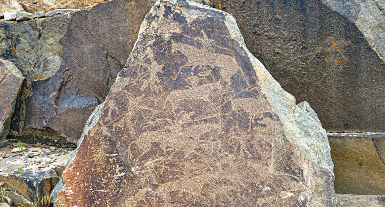 Жыныстық қатынас қызықтырақ