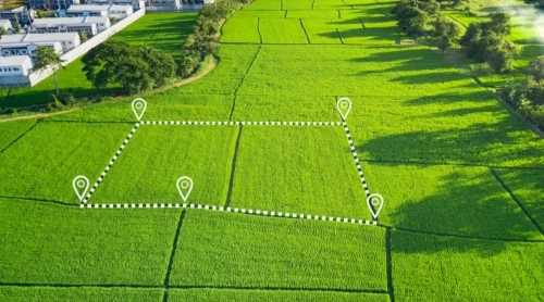 12 миллион гектар жер мемлекетке қайтарылды