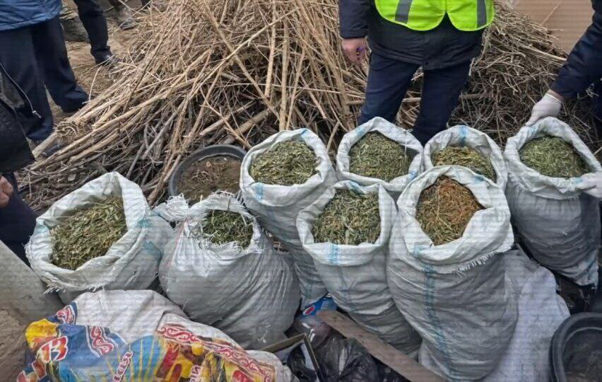 400 килоға жуық есірткі тәркіленді