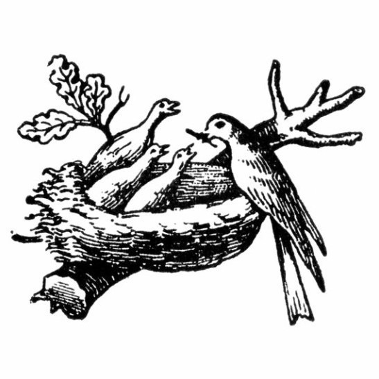 Ғалам ғажаптары: Міне, маркетинг!