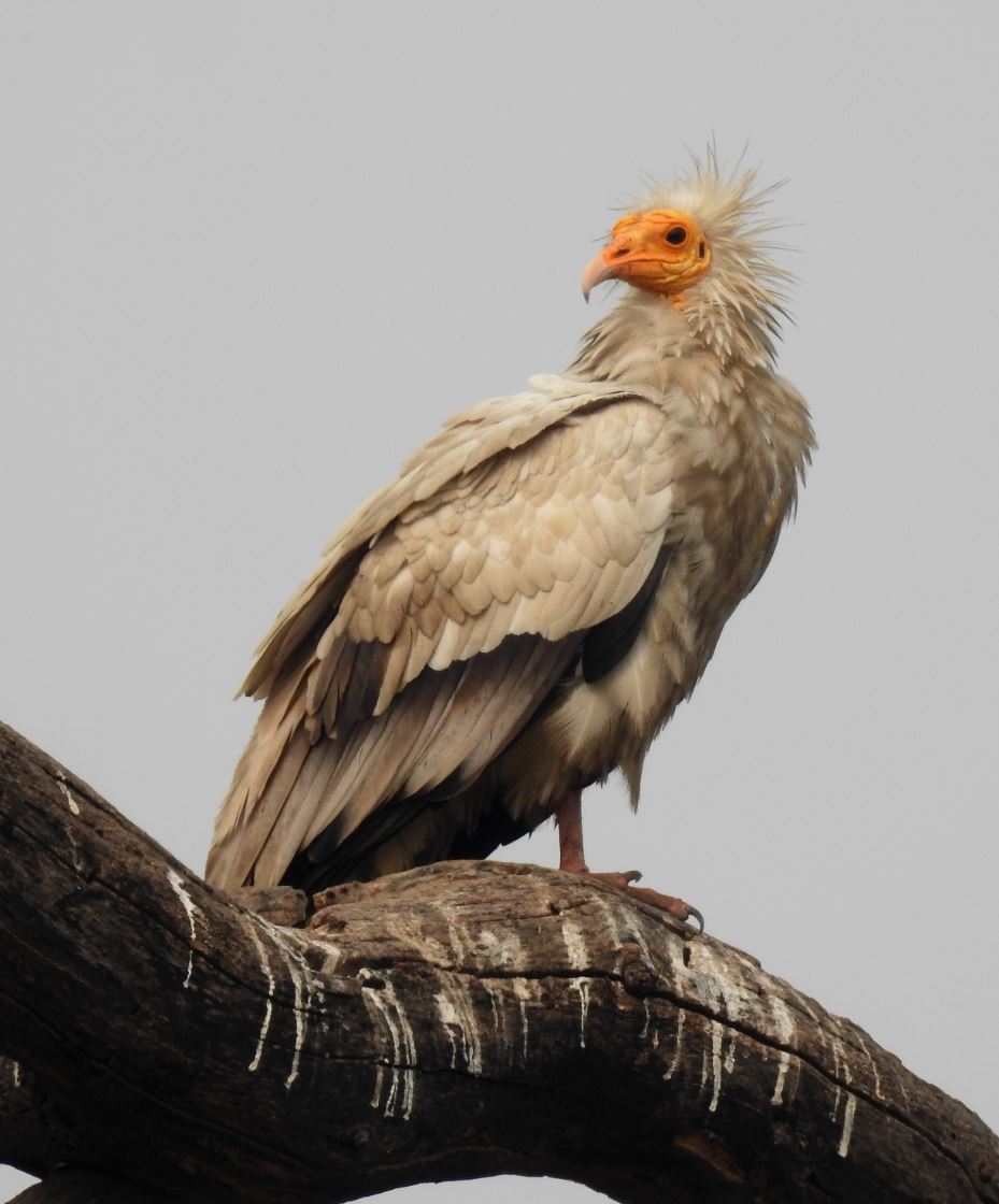 gjhyj hfcrfp tlyfz vfhbyf dct xfcnb