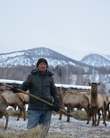 Бұғышы Қуан