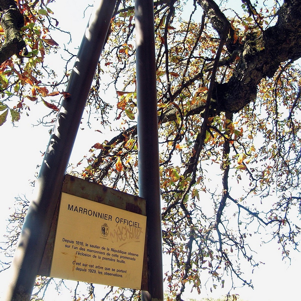 Ғалам ғажаптары: Женевадағы көктем