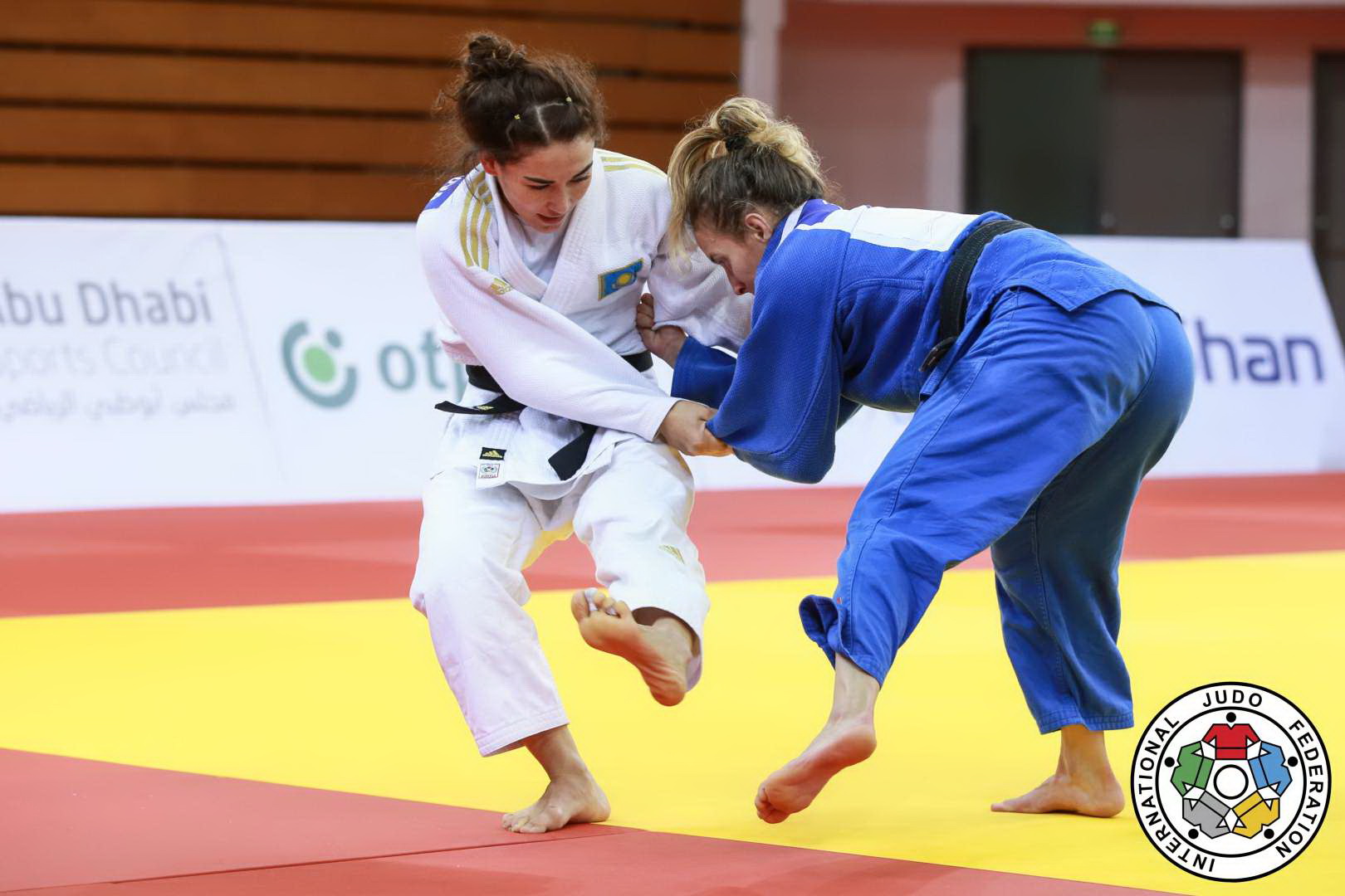 Жарыс күнделігі