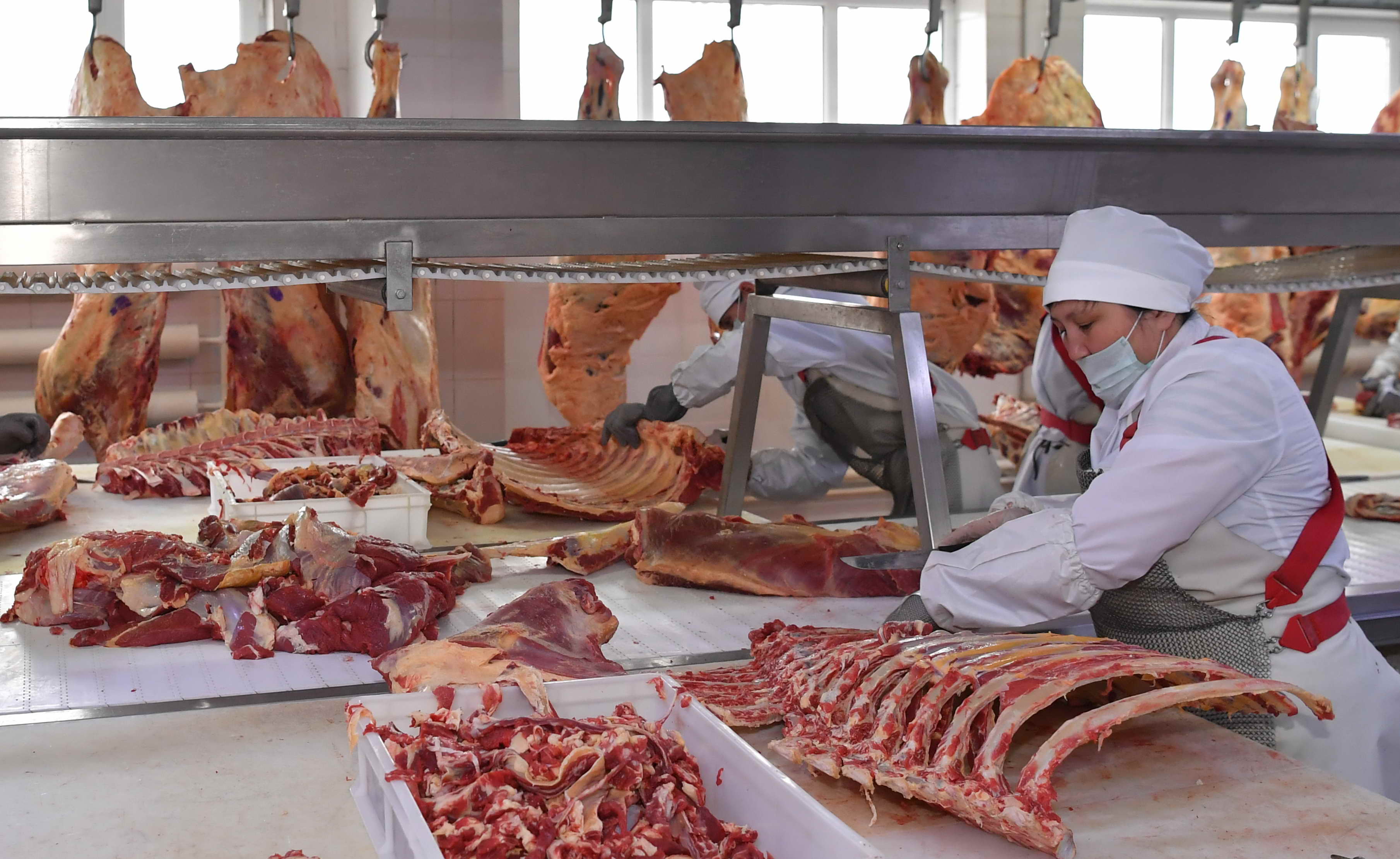 Қой етін экспортқа шығарады