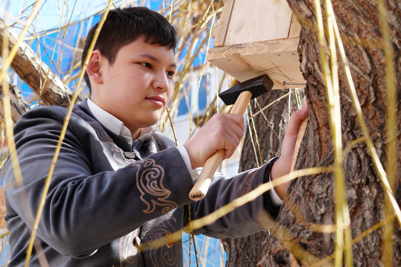 Мың құсқа ұя жасады