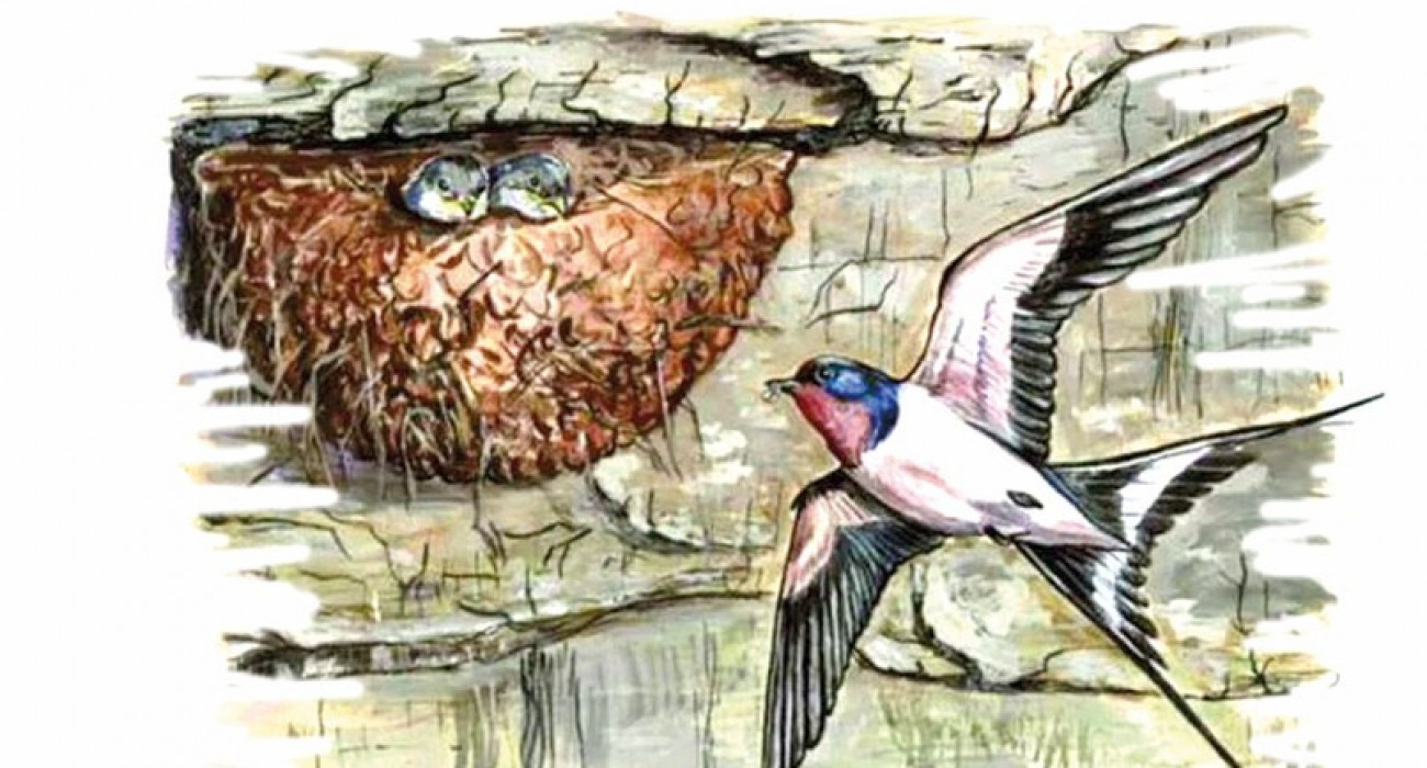 Жүкті әйелдің анальды жыныстық қатынасы бар онлайн порно көру.