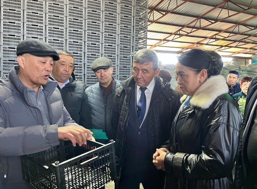 Жәшік шығаратын кәсіпорын