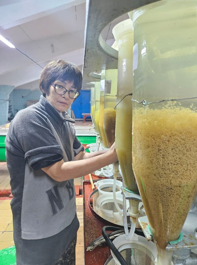 Тұқымбақтың тағдыры толғандырады