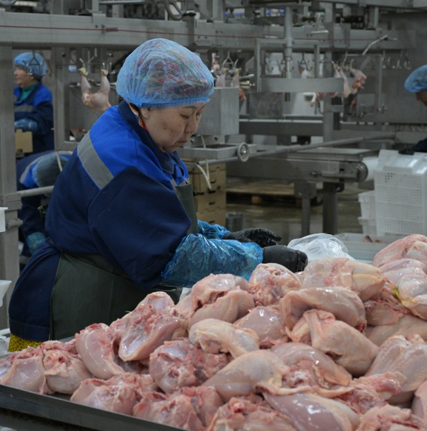 Қайта жанданған кәсіпорын