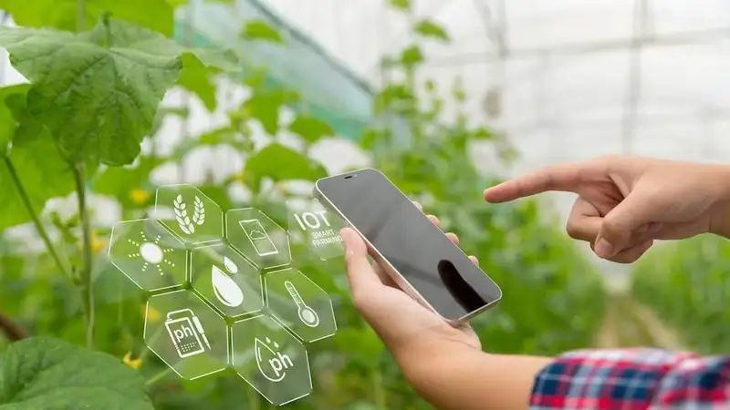 «Ақылды жасыл ферма» көмектеседі