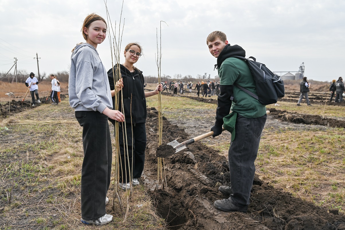 15 000 көшет егілді