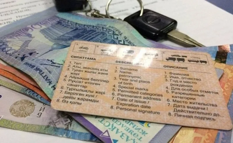 Жүргізуші куәлігі 400 мың теңге: Шымкентте ХҚКО қызметкерлері ұсталды