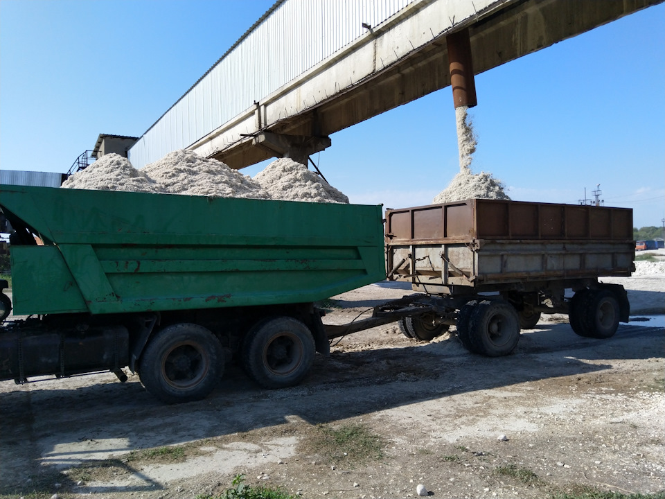 Жетісуда мал азығы зауыты ашылады